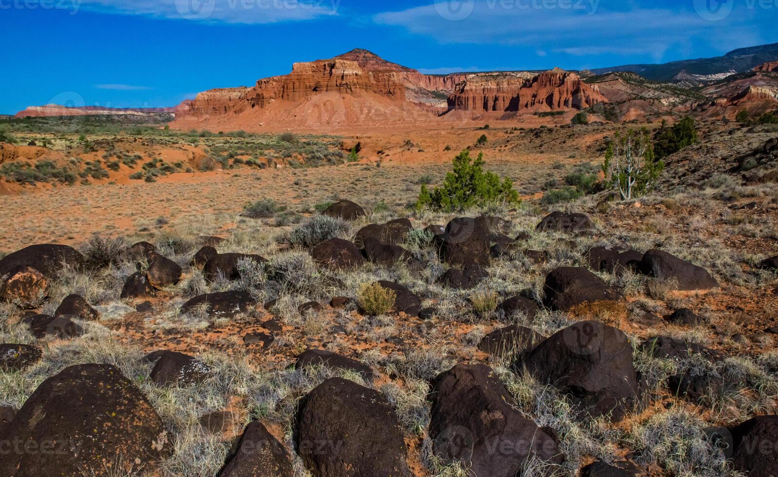 Volcanic bombs, molten lava from an ancient volcano, CANYONLANDS, Utah, US photo