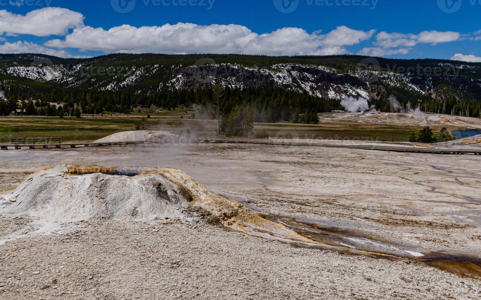 Boiling water bubbler Geyser. Active geyser with major eruptions. Yellowstone NP, Wyoming, US photo