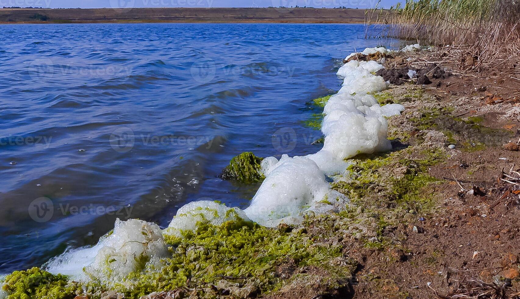 Environmental problem and pollution, eutrophication of a natural reservoir, dirty foam on the shore, Tiligul estuary photo