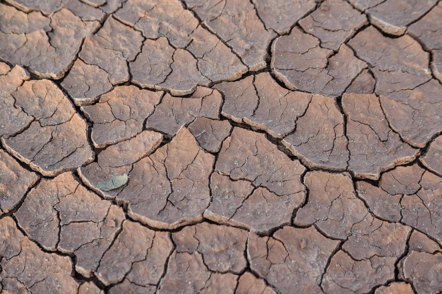 Cracked red clay and white salt on the surface in a dried riverbed in the desert of New Mexico, USA photo