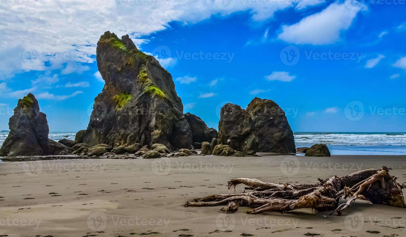 Marine landscape. Small islands and rocks on the shores of the Pacific Ocean in Olympic National Park, Washington photo