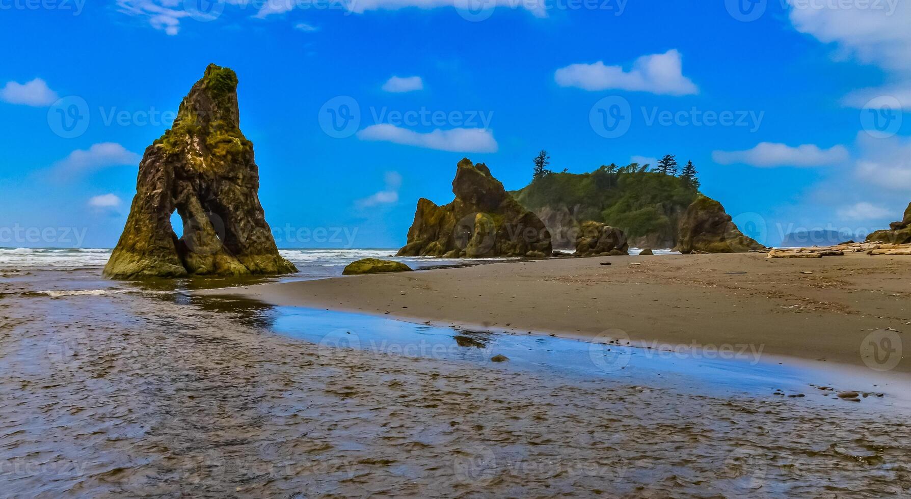Marine landscape. Small islands and rocks on the shores of the Pacific Ocean in Olympic National Park, Washington photo