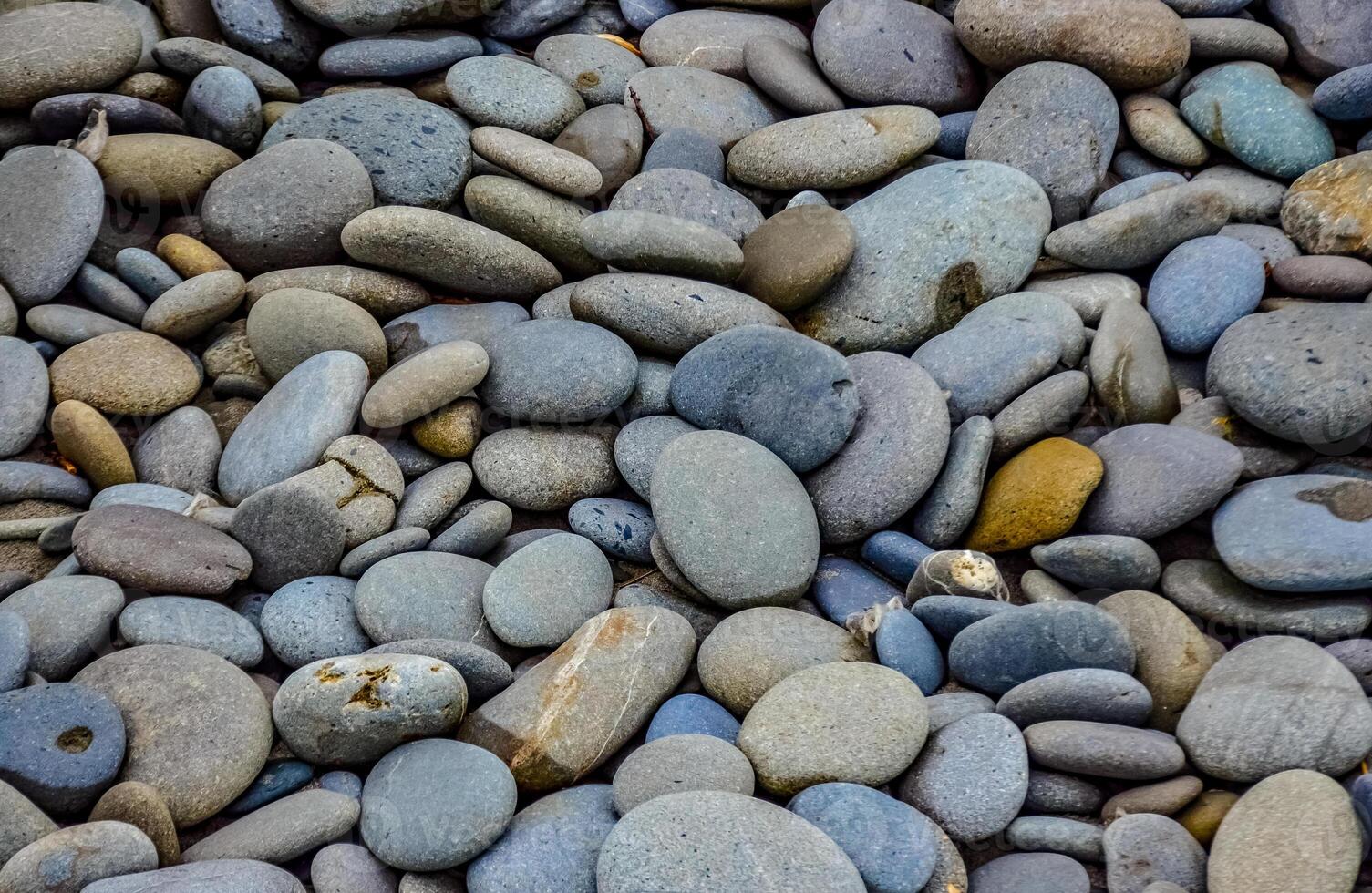Multicolored round pebble stones on the Pacific Ocean in Olympic National Park, Washington photo