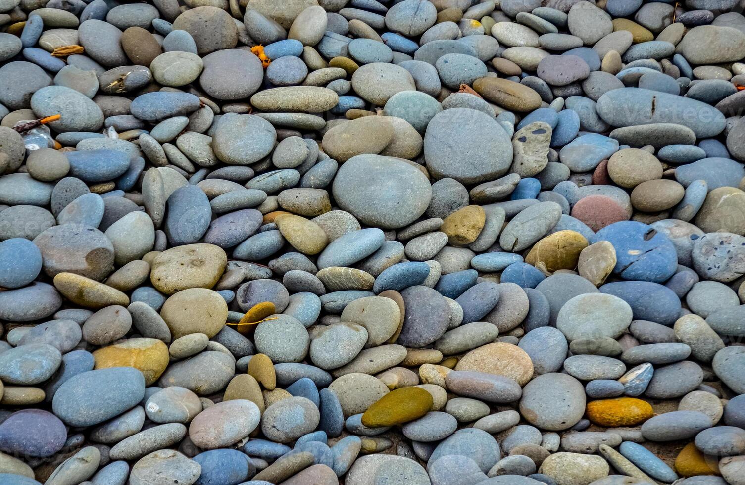 Multicolored round pebble stones on the Pacific Ocean in Olympic National Park, Washington photo