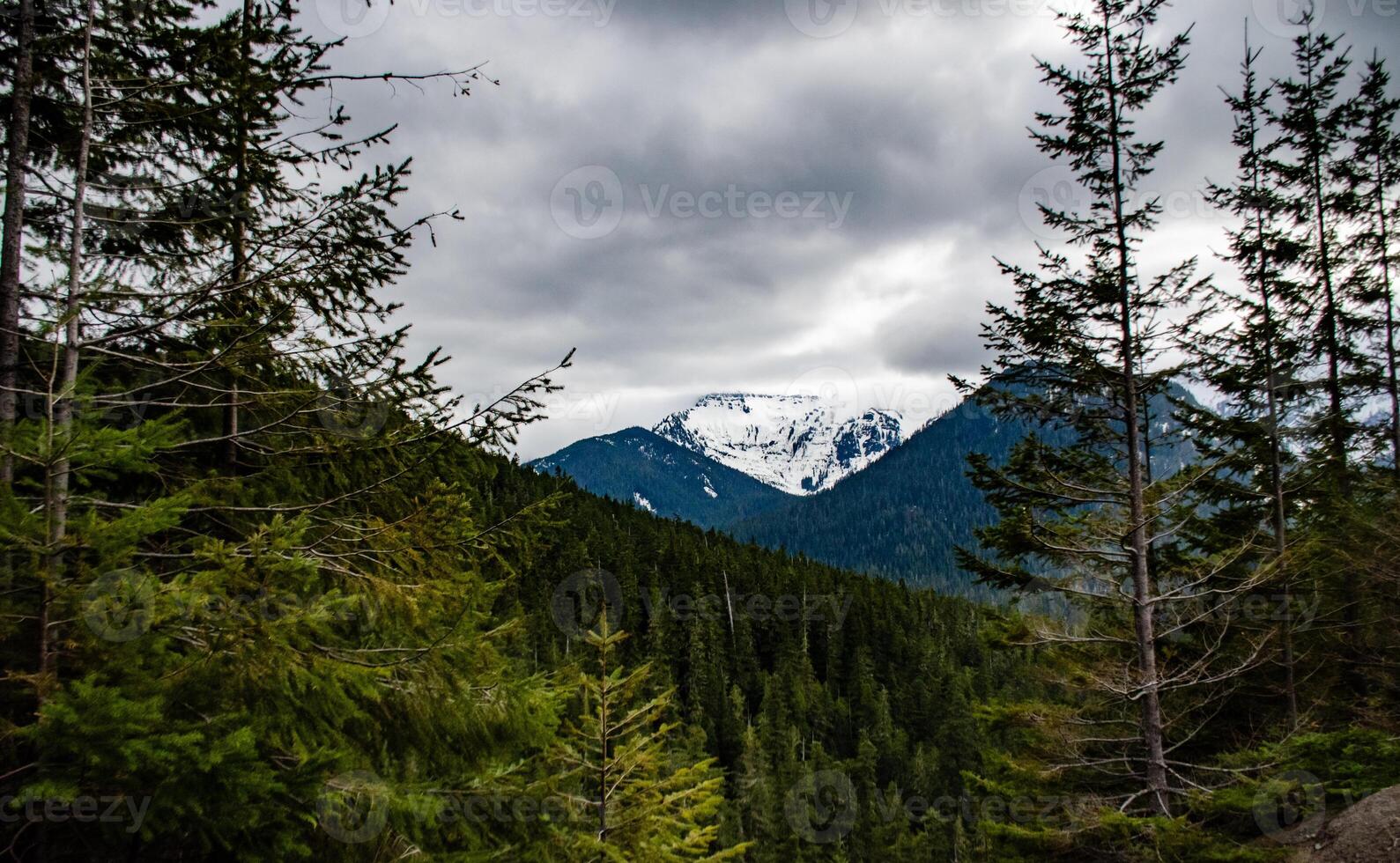 Mountains in the snow, overgrown with wood. Thick clouds over the mountains. Montana photo