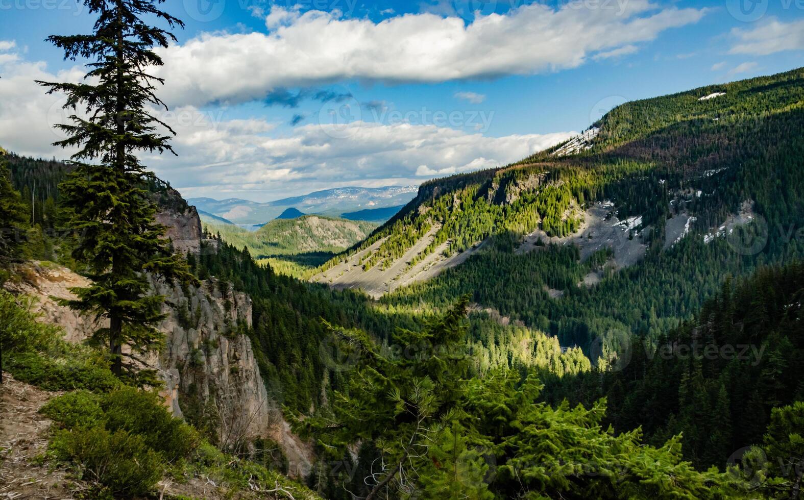 High mountains covered with dense forest, a lake in the distance. Montana photo