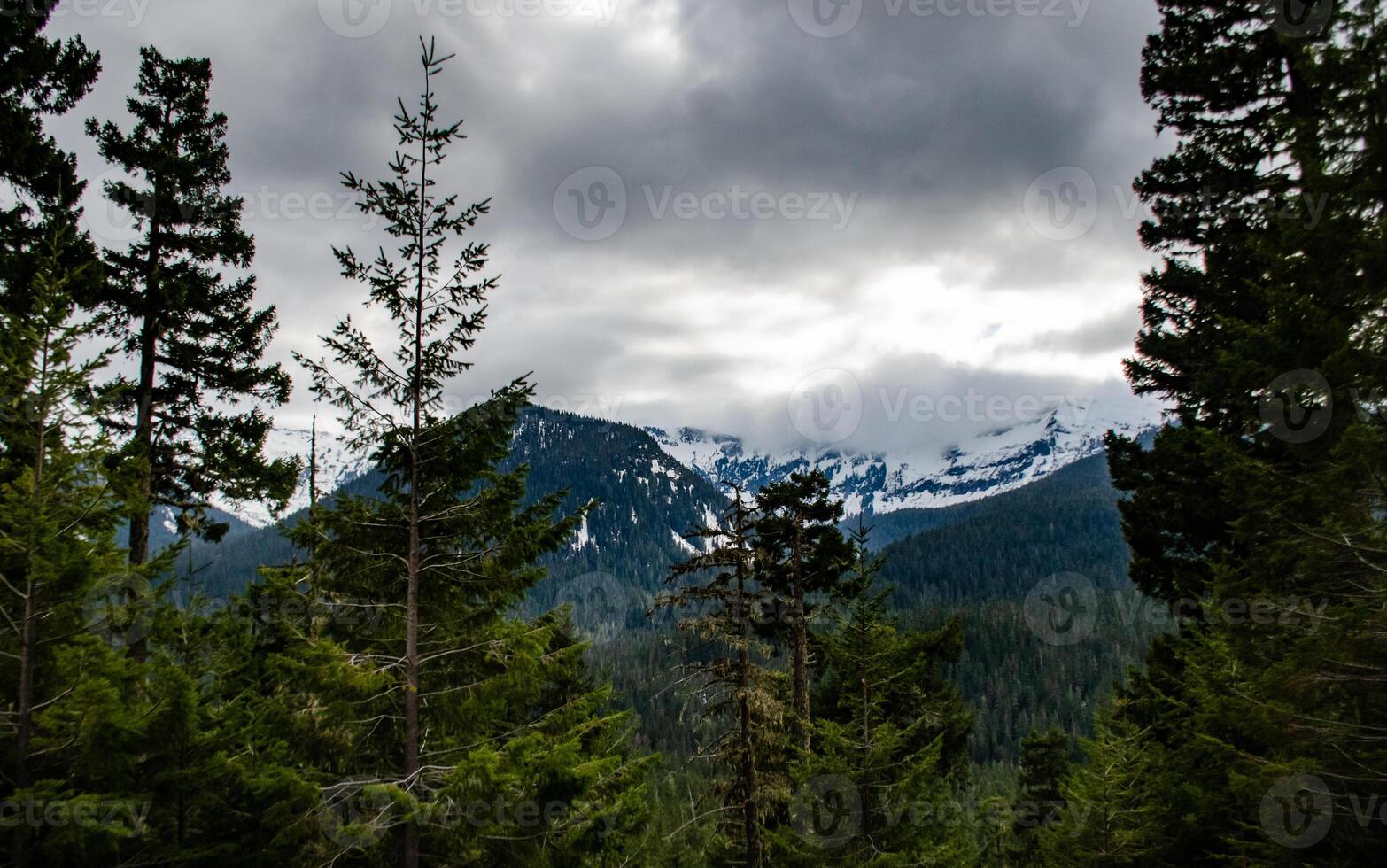 Mountains in the snow, overgrown with wood. Thick clouds over the mountains. Montana photo