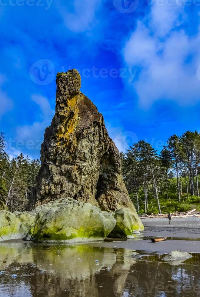 Marine landscape. Small islands and rocks on the shores of the Pacific Ocean in Olympic National Park, Washington photo
