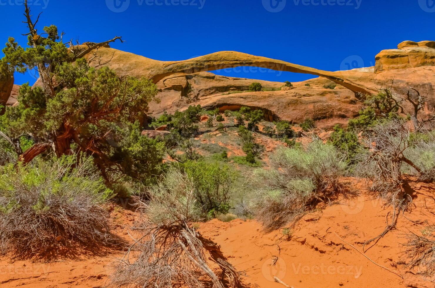 Landscape Arch is one of the major arches on the Devils Garden trail. Arches NP in Moab, Utah photo