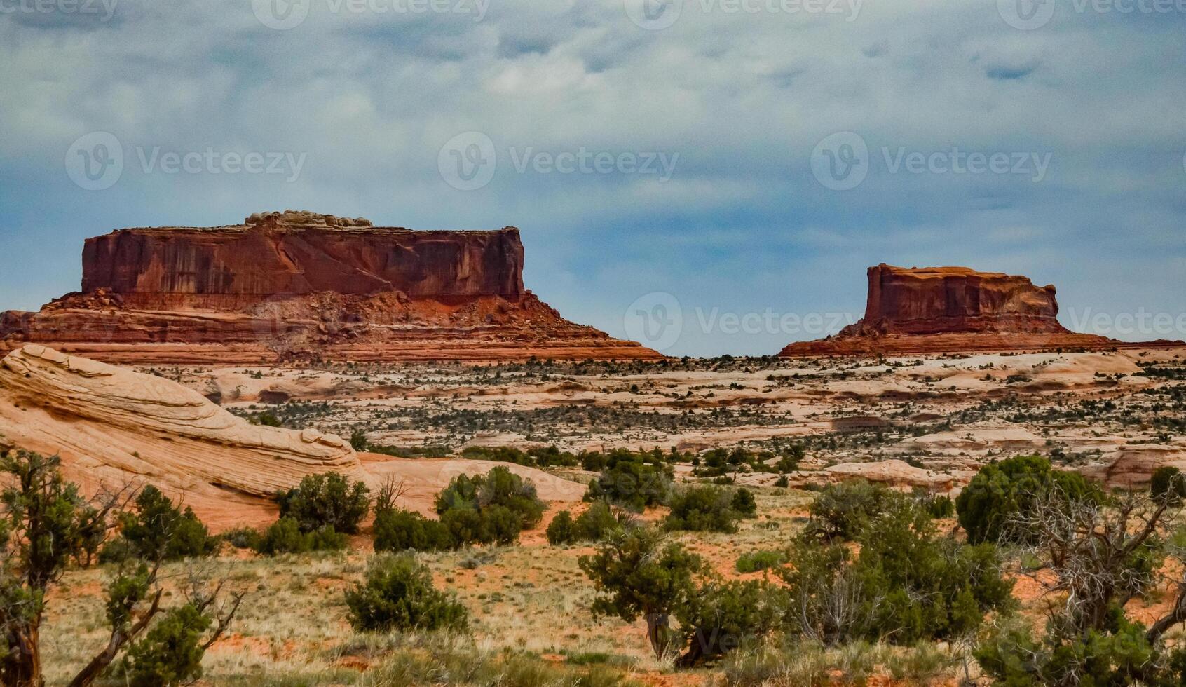 Erosion red rocks. Canyonlands National Park is in Utah near Moab, US photo