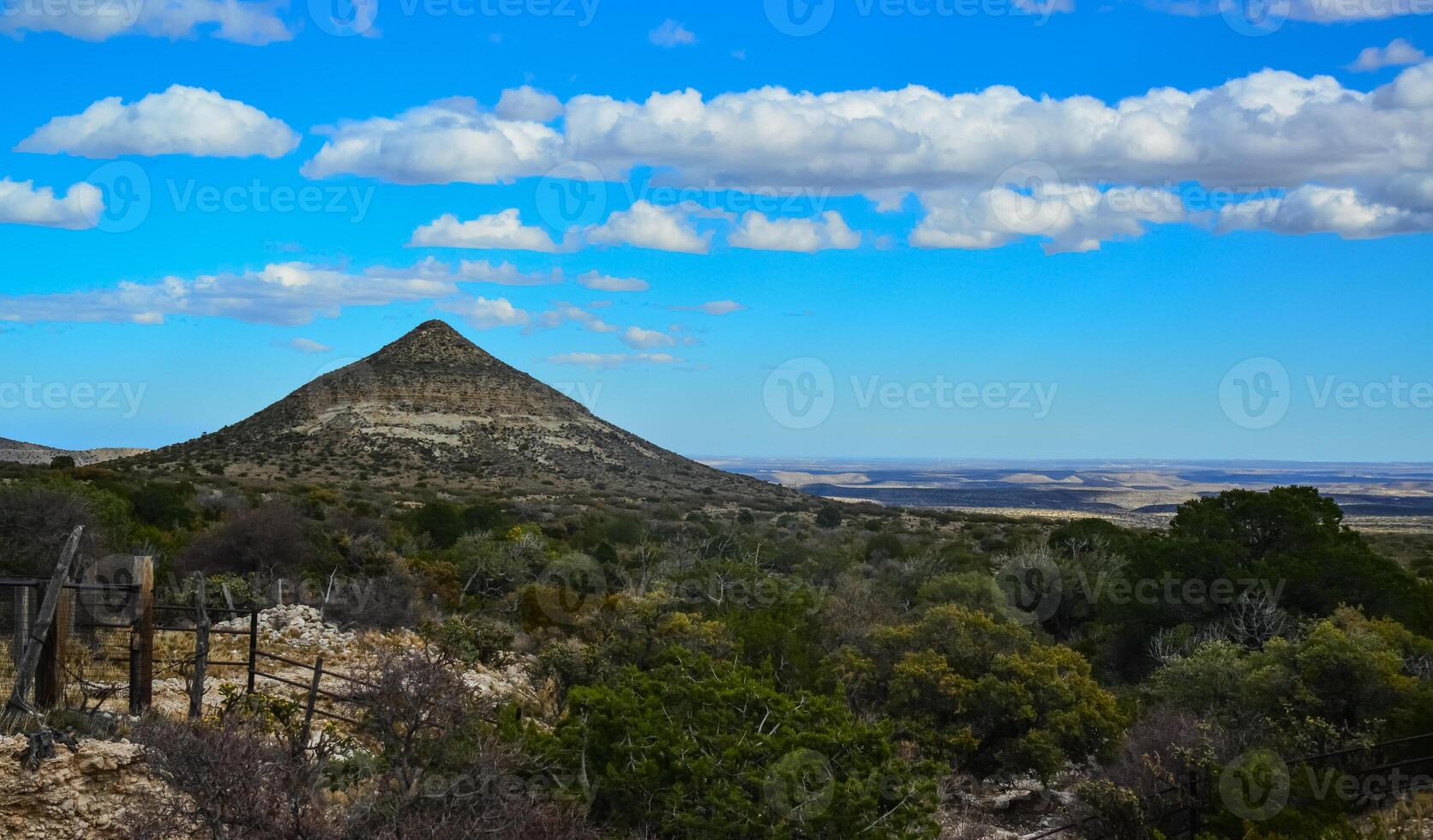 Dry tree, cacti and other desert plants on a cone-shaped landscape in Guadalupe National Park, New Mexico photo
