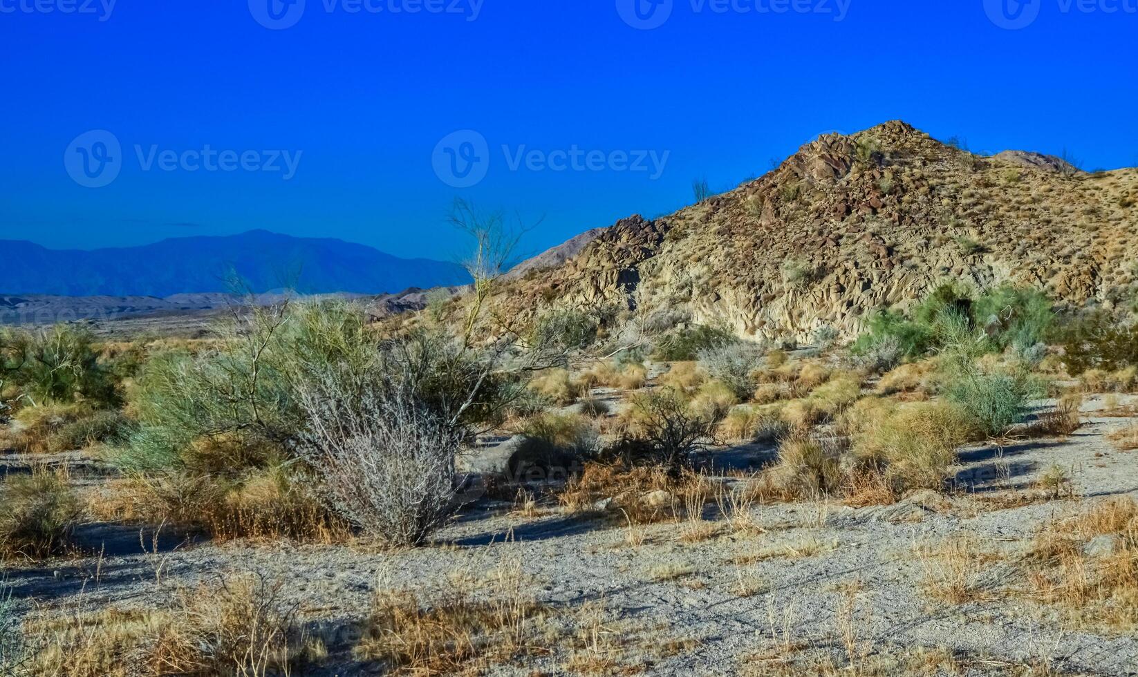 Rock desert landscape in California, yucca, cacti and desert plants in the foreground. photo