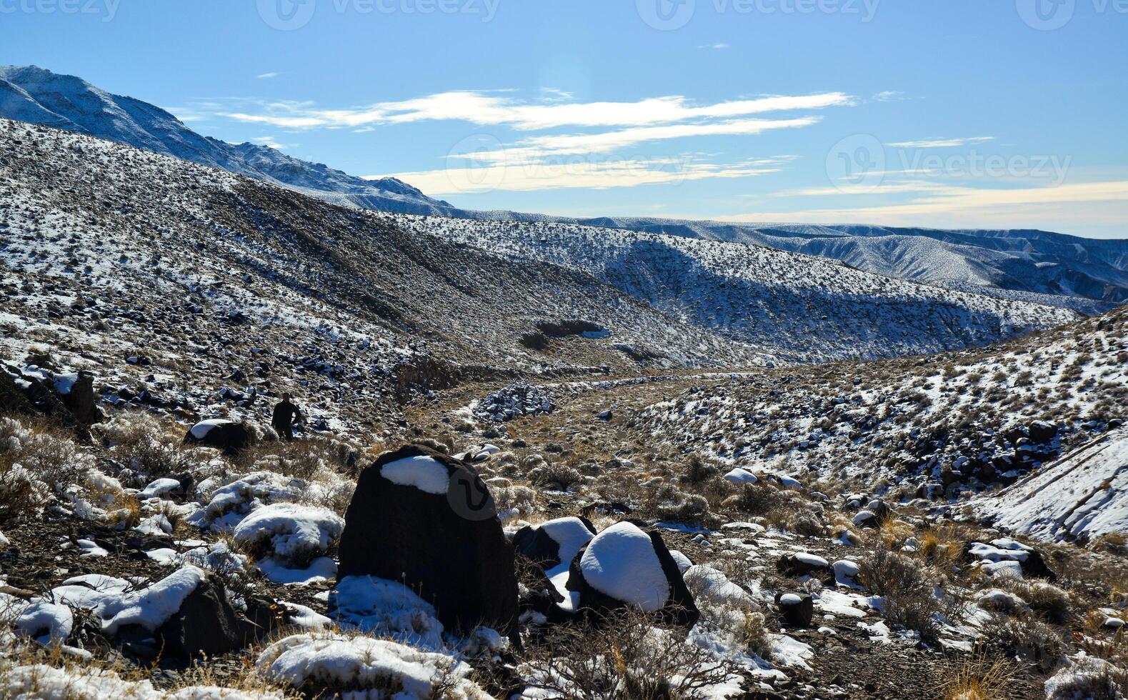 Snow in the mountains, Snow-covered mountain pass, desert plants under the snow in summer photo