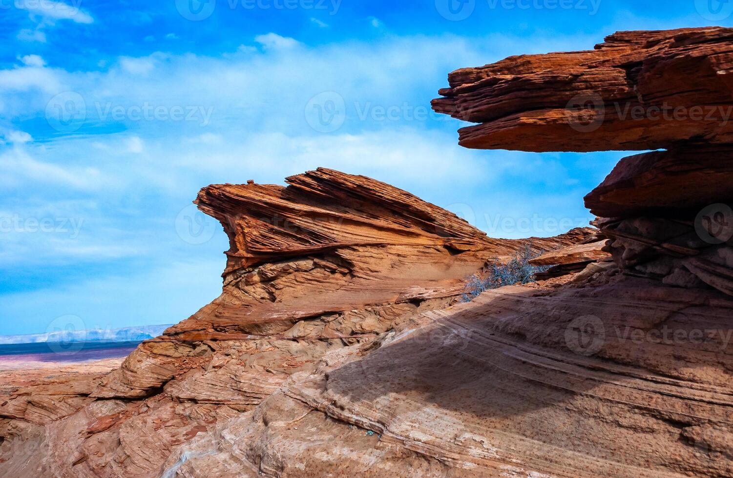 Spiny shrub and arid flora growing near Glen Canyon on red sands photo