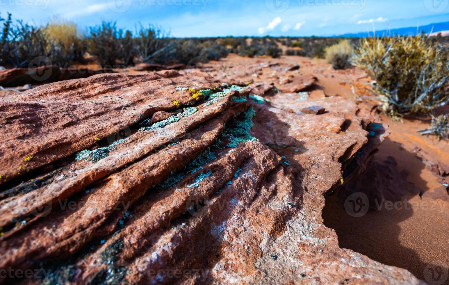 Lichens on red sandstone in the desert near Glen Canyon and the Colorado River photo