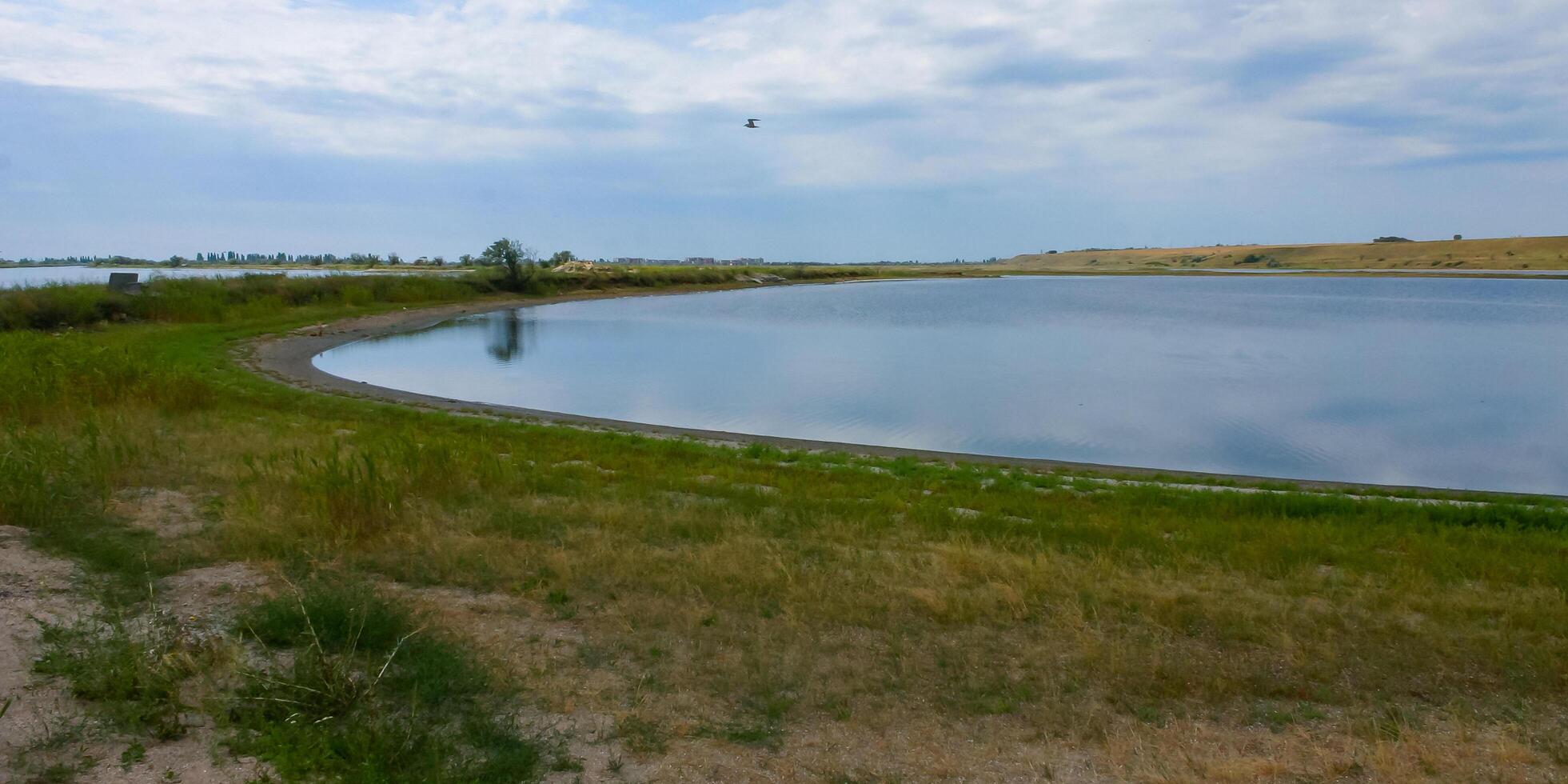 Shallow bay of the Tiligulsky estuary with wild salt-tolerant vegetation on the shore, Ukraine photo