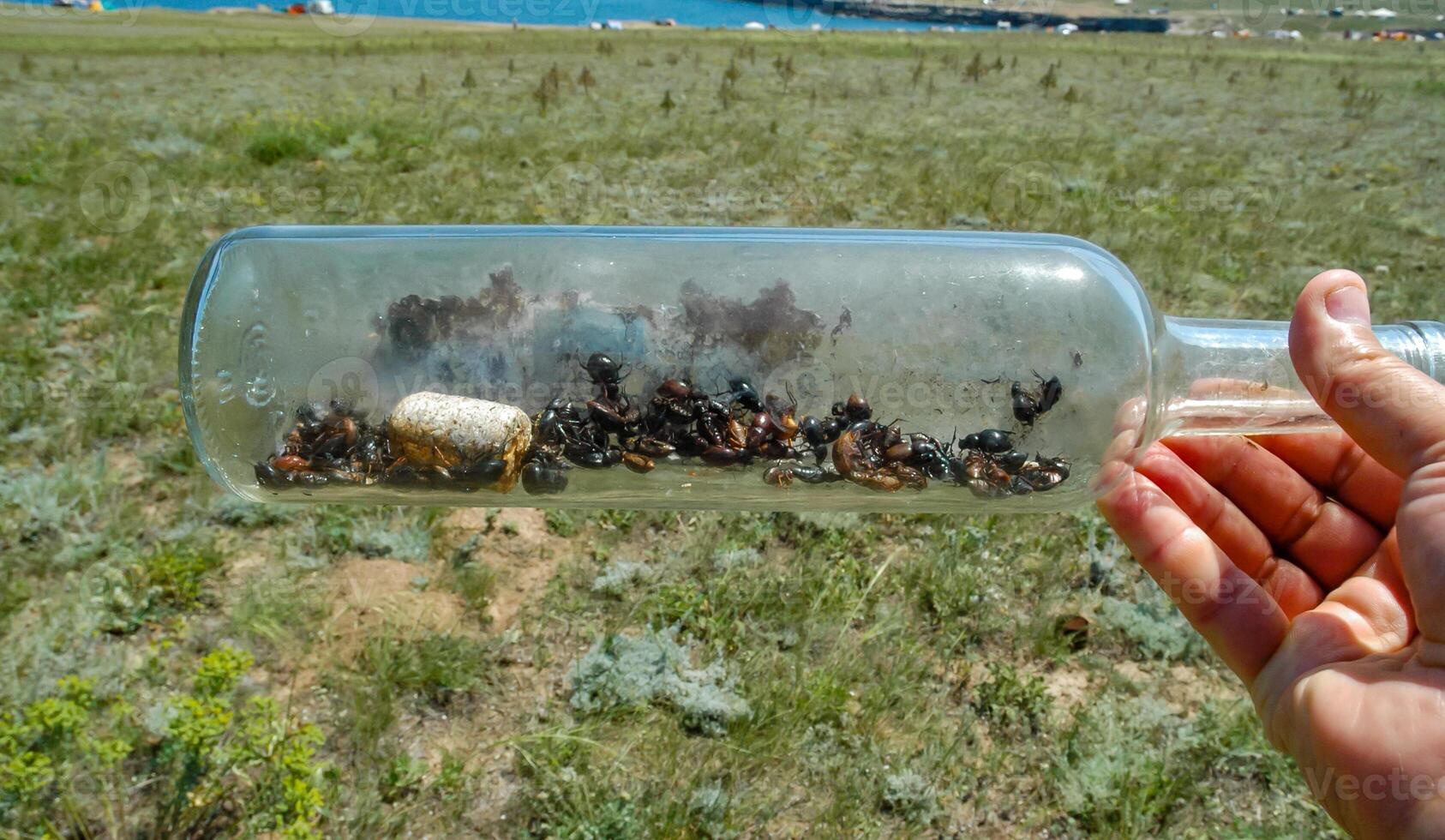 A glass bottle thrown in nature - an insect killer, an ecological problem of garbage in nature, Crimea, Tarkhankut Atlesh photo