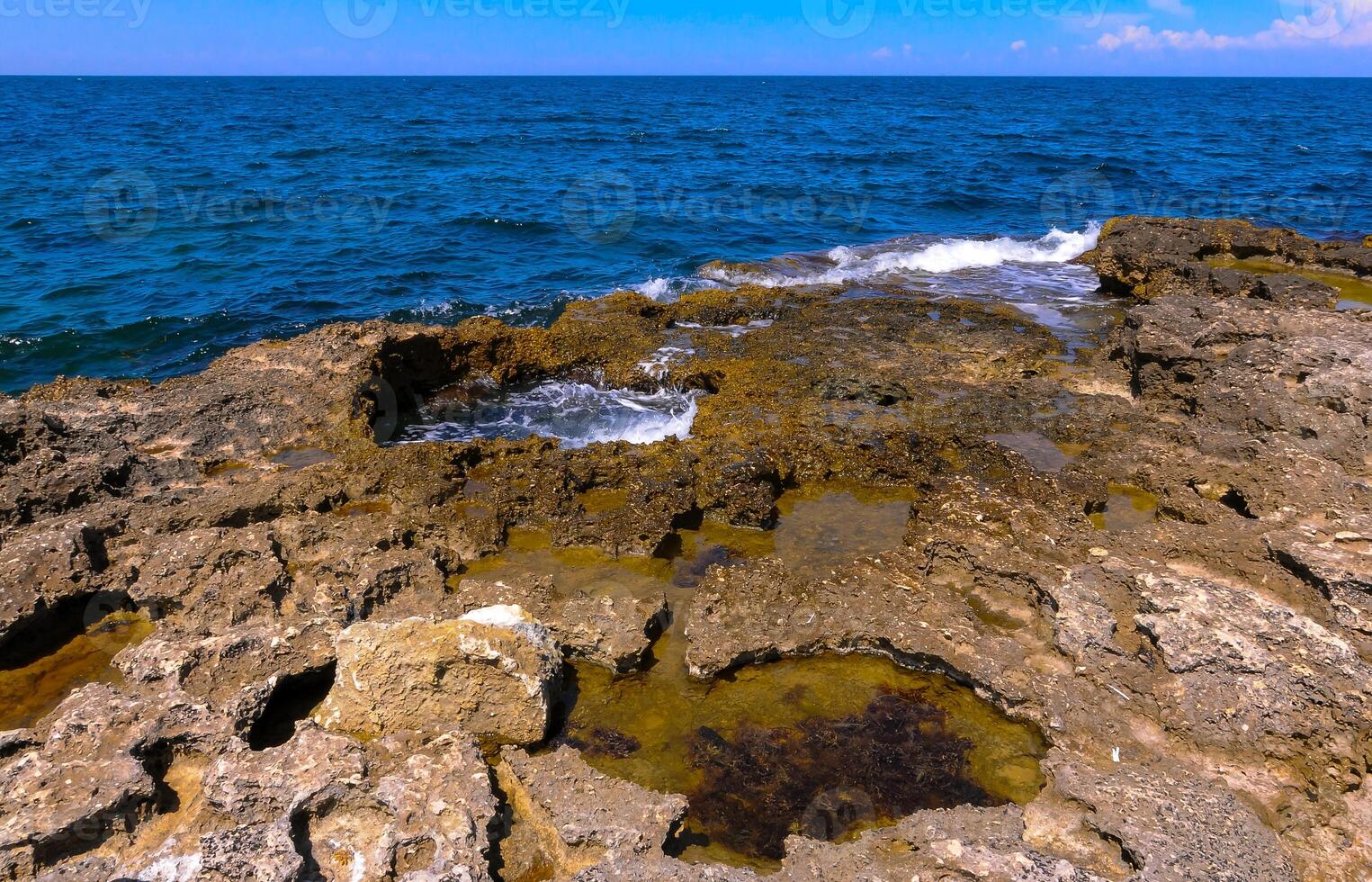 Flat rocky shore with many littoral puddles rich in life, in the eastern Crimea, Black Sea photo