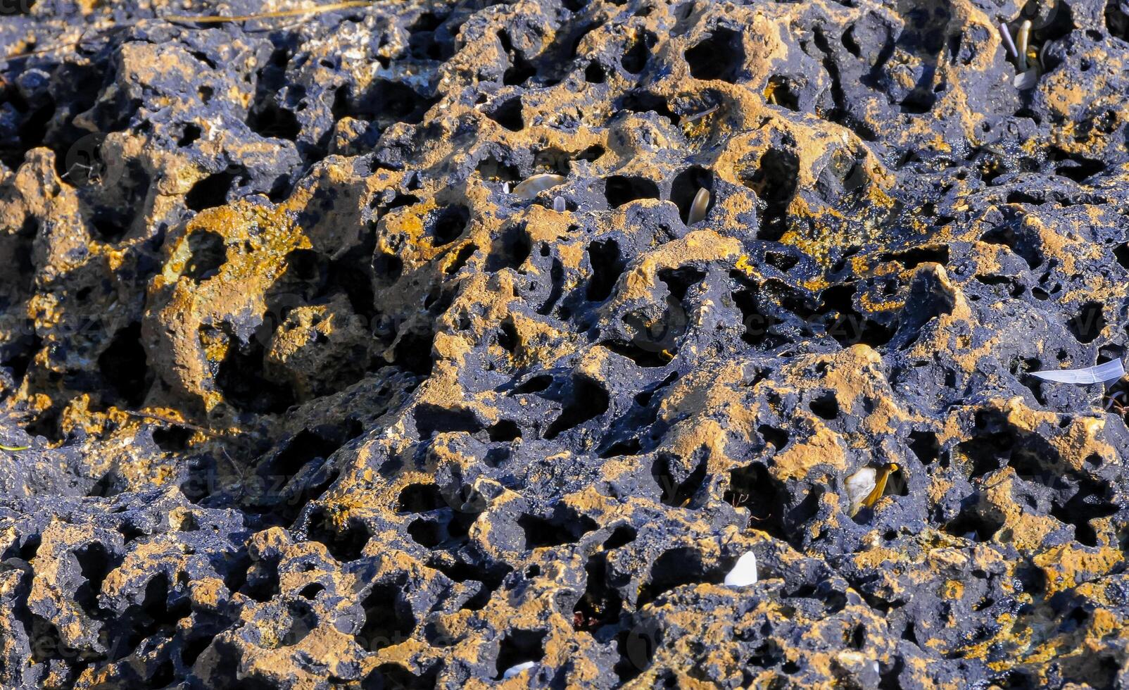 Water destruction of coastal shell rocks and shore by waves during a storm, Black Sea photo