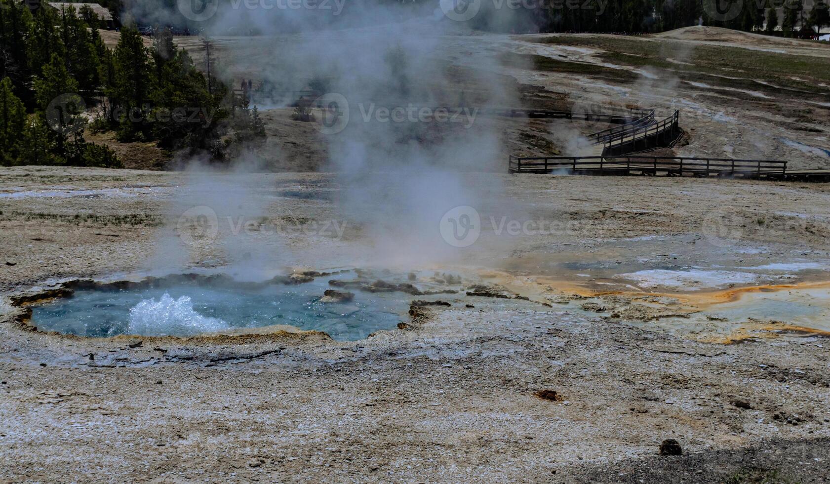 Boiling water bubbler Geyser. Active geyser with major eruptions. Yellowstone NP, Wyoming, US photo
