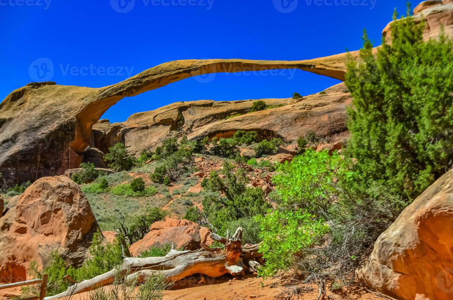 Landscape Arch is one of the major arches on the Devils Garden trail. Arches NP in Moab, Utah photo