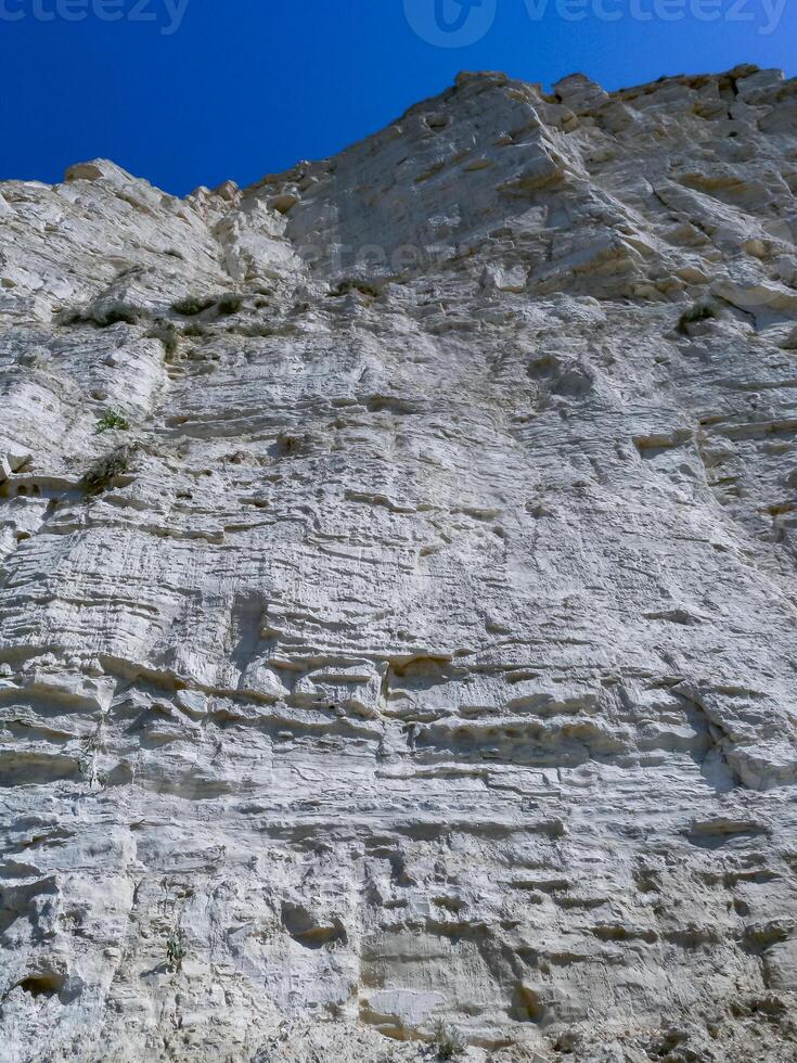 Vertical high rock made of white shell rock near the Black Sea coast near Sozopol, Bulgaria photo