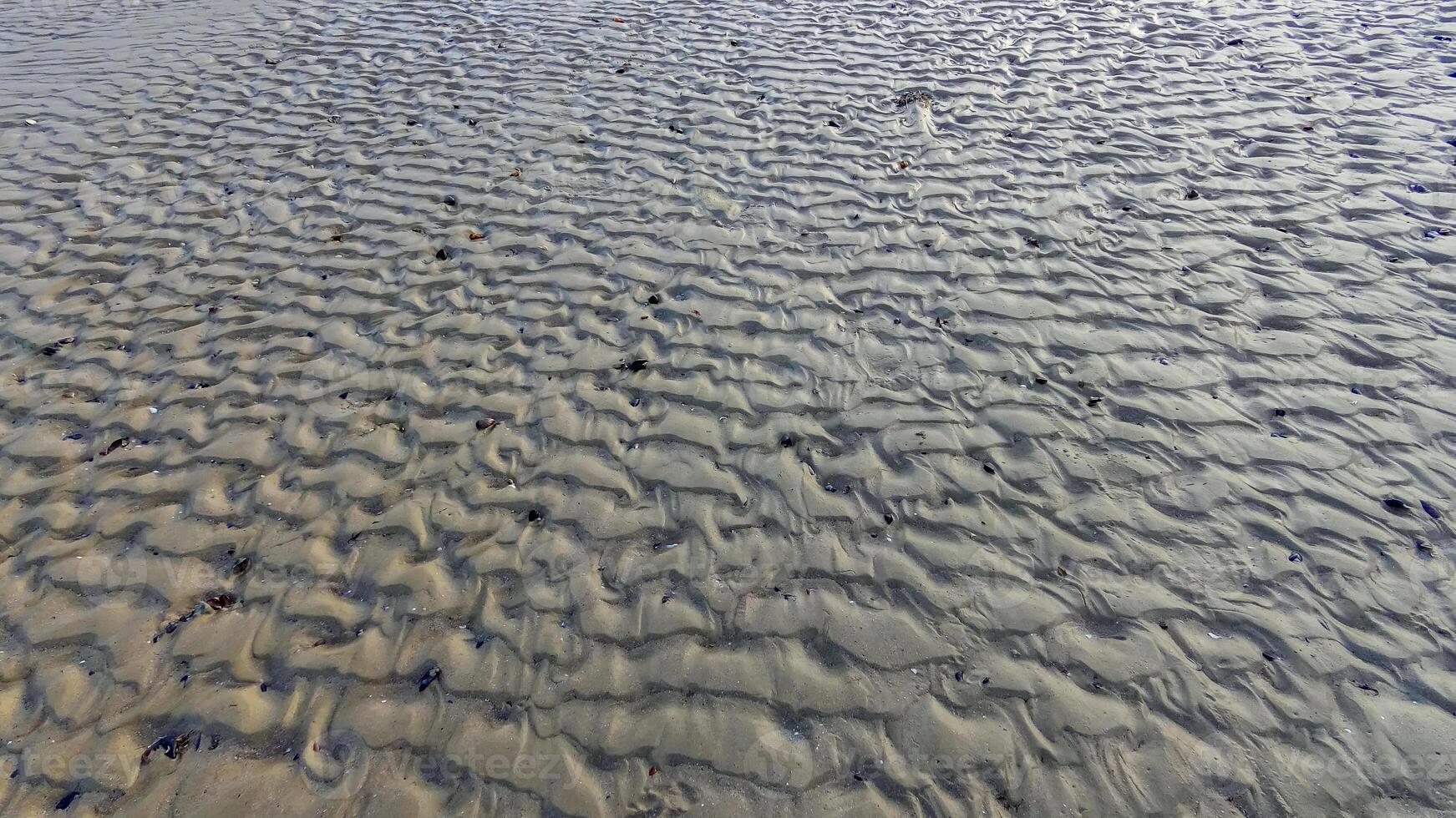 Waves on a muddy bottom in a sea channel at low tide photo