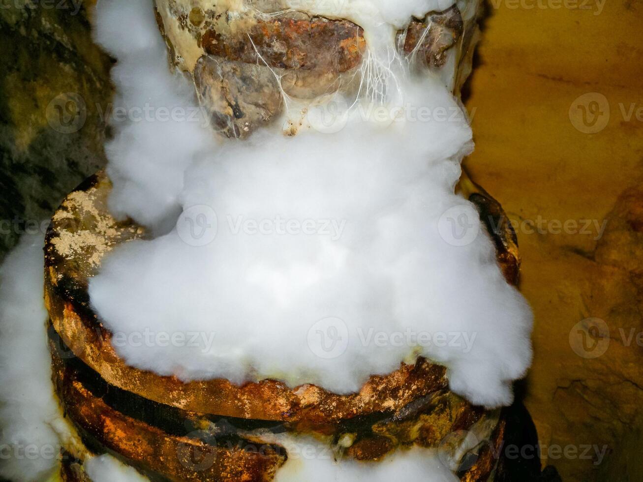 Creeping mold colonies on rotten wood and organic remains in the humid Odessa catacombs photo