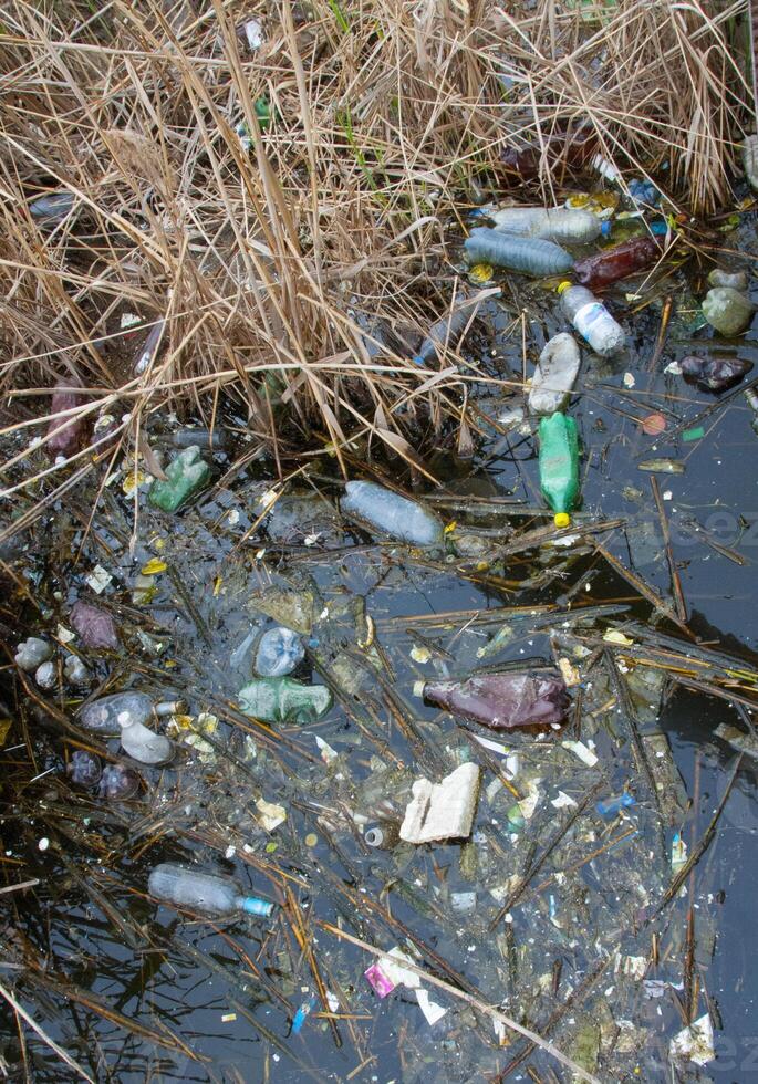 Environmental problem, garbage. Contamination with debris and plastic of natural reservoirs. Ukraine photo