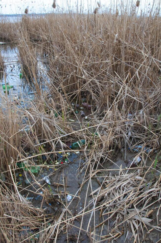 Environmental problem, garbage. Contamination with debris and plastic of natural reservoirs. Ukraine photo