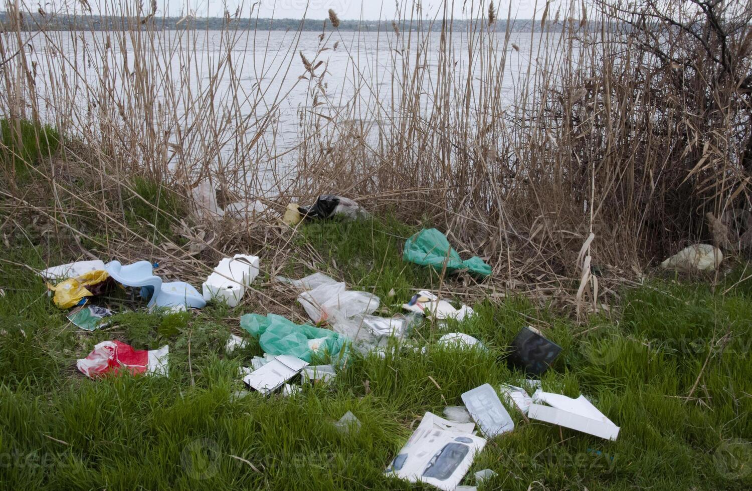 Environmental problem, garbage. Contamination with debris and plastic of natural reservoirs. Ukraine photo