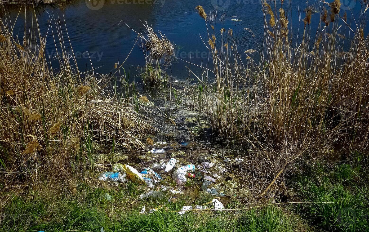 Plastic garbage on the shore in Hadzhibeysky estuary. Eutrophication of the reservoir, the problem of ecology photo
