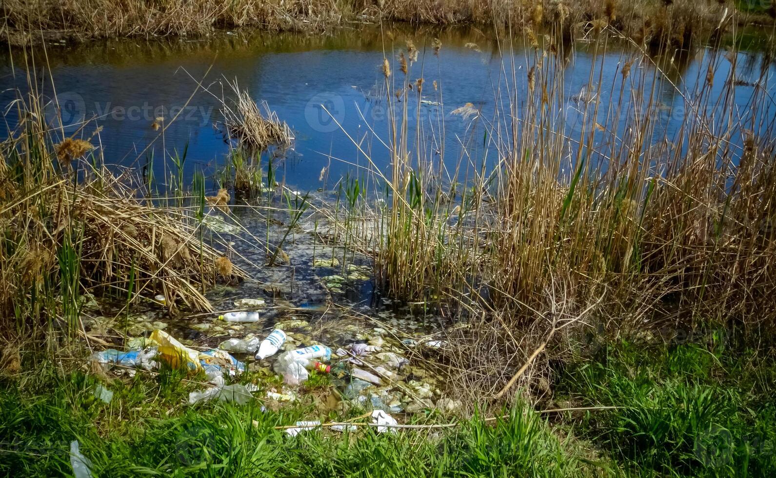 Plastic garbage on the shore in Hadzhibeysky estuary. Eutrophication of the reservoir, the problem of ecology photo