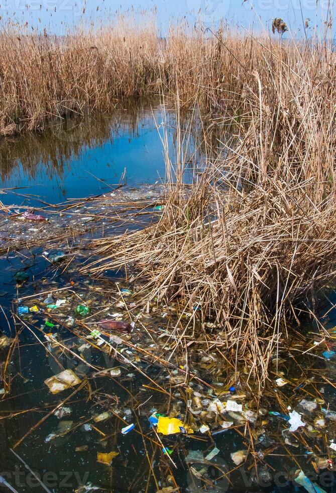Plastic garbage on the shore in Hadzhibeysky estuary. Eutrophication of the reservoir, the problem of ecology photo