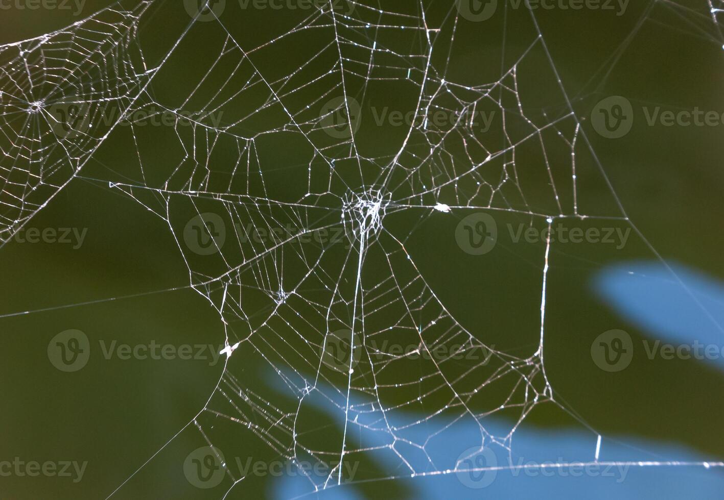 Spider web of the crosspiece above the water photo