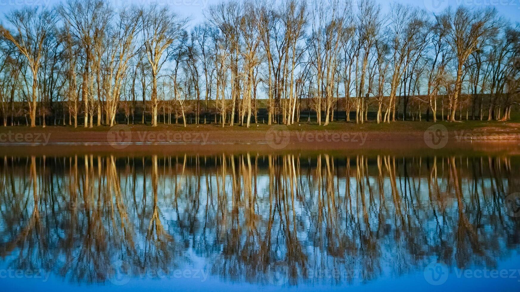 Scenic view, Reflection of trees in the calm water of a small lake photo