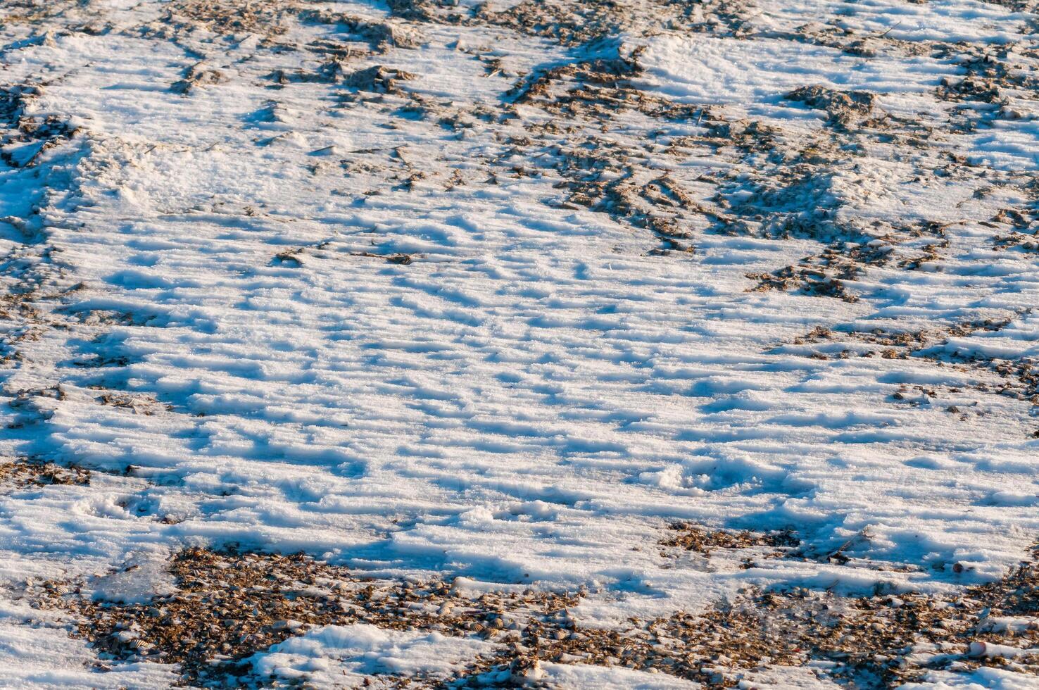 Weathered ice and frozen snow in the form of needle crystals on the bank of the Tiligul Estuary on a sunny day photo