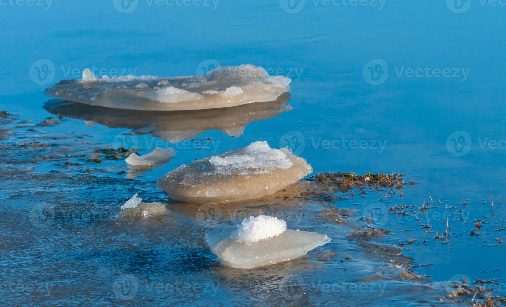 Blocks of ice near the shore in the lower reaches of the Tiligul estuary on a sunny day, Ukraine photo
