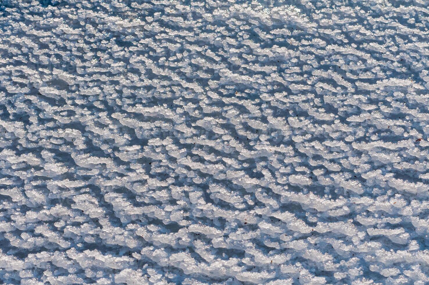 Weathered ice and frozen snow in the form of needle crystals on the bank of the Tiligul Estuary on a sunny day photo