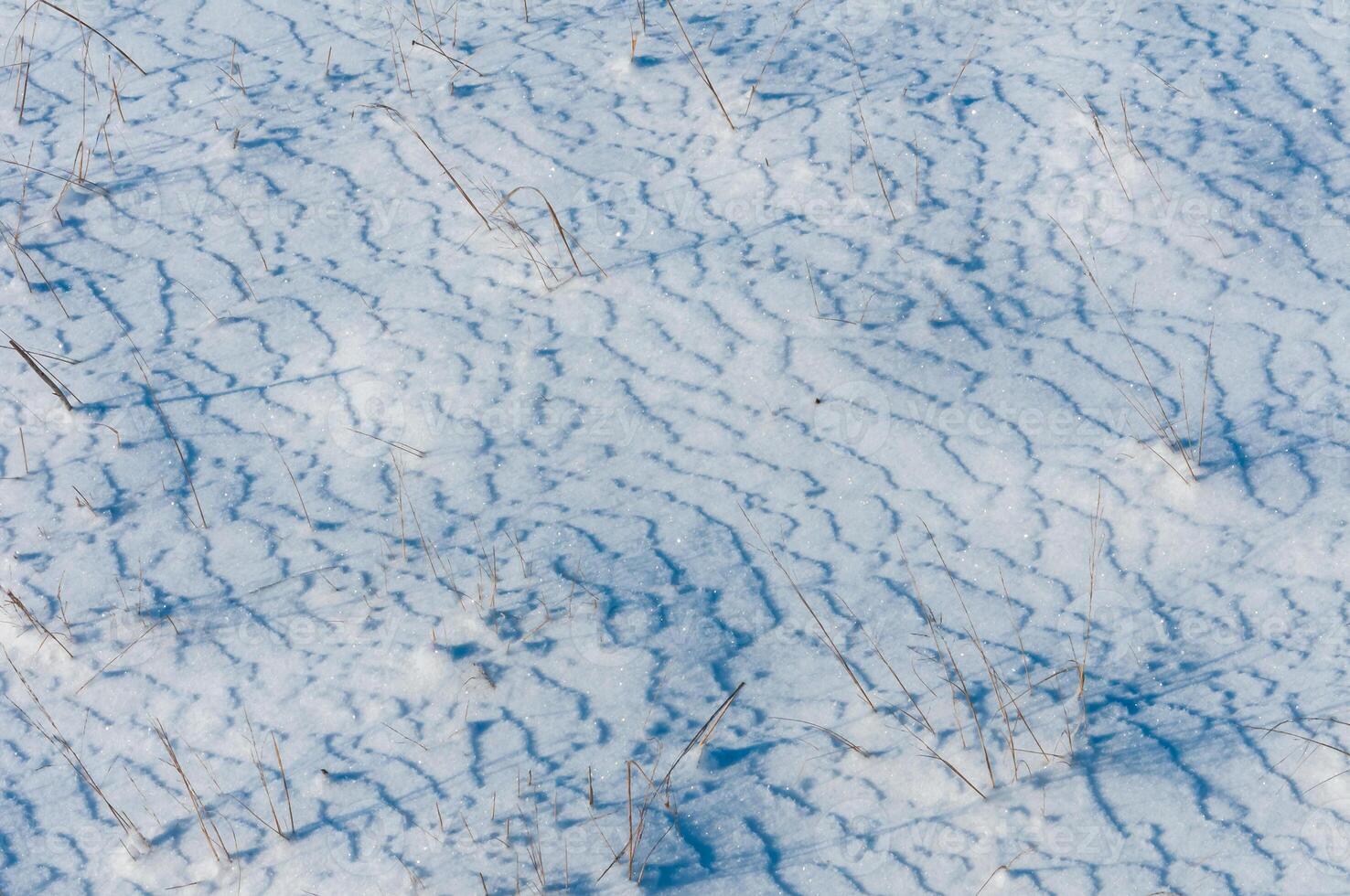 Weathered ice and frozen snow in the form of needle crystals on the bank of the Tiligul Estuary on a sunny day photo