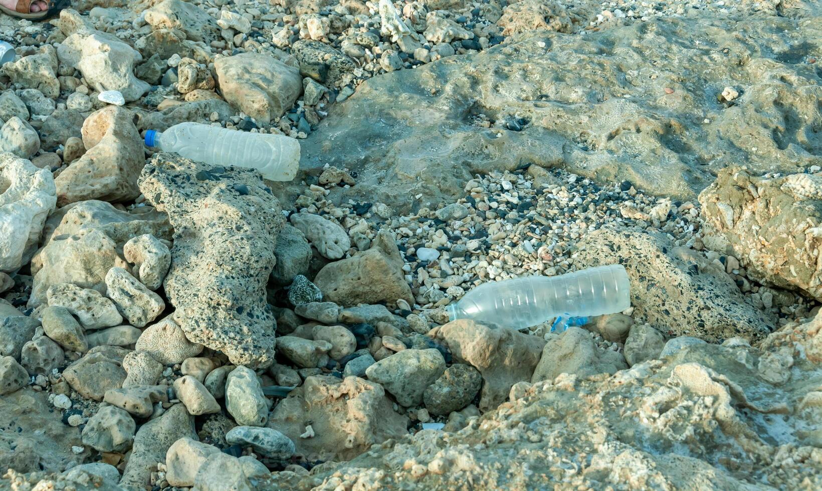 Plastic bottles and various garbage from hotels in the wild, Garbage dump in the desert in Egypt photo