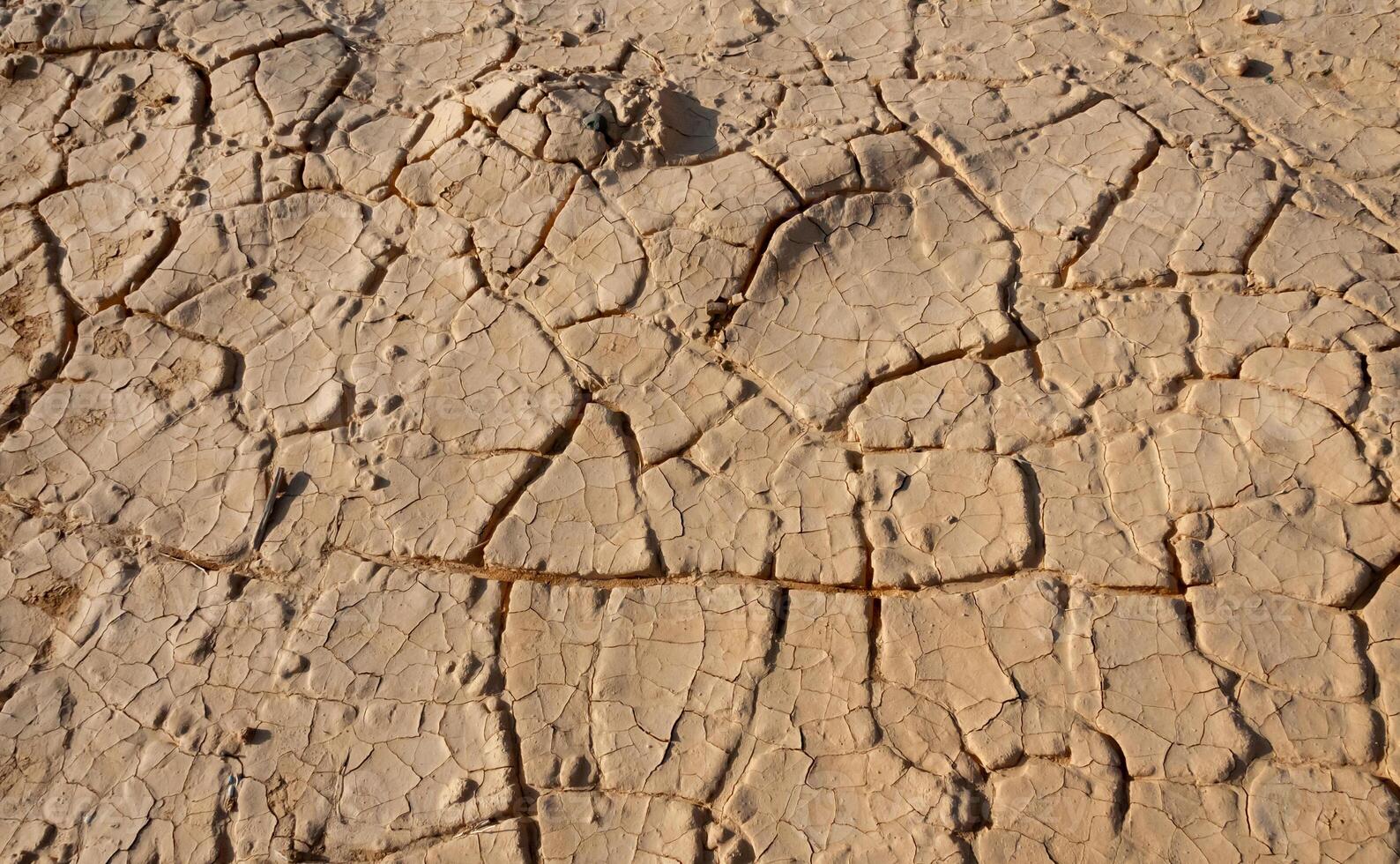 Dry cracked red clay in the desert in the bed of a dried up water stream, Egypt photo
