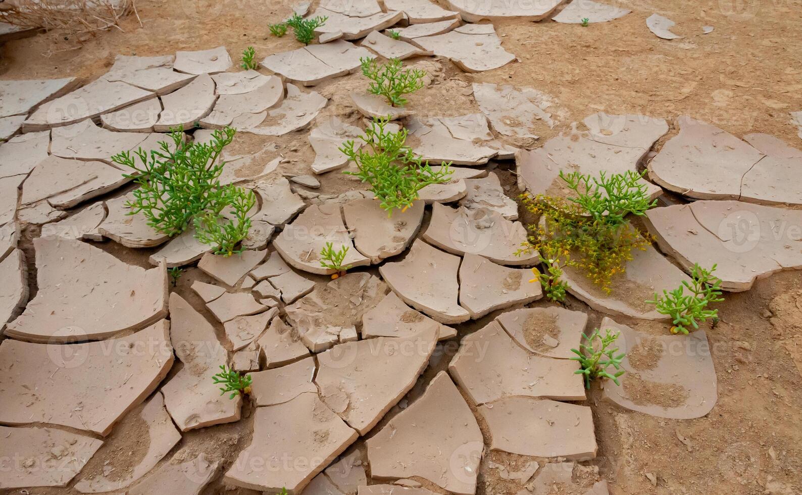 Dry cracked red clay in the desert in the bed of a dried up water stream, Egypt photo