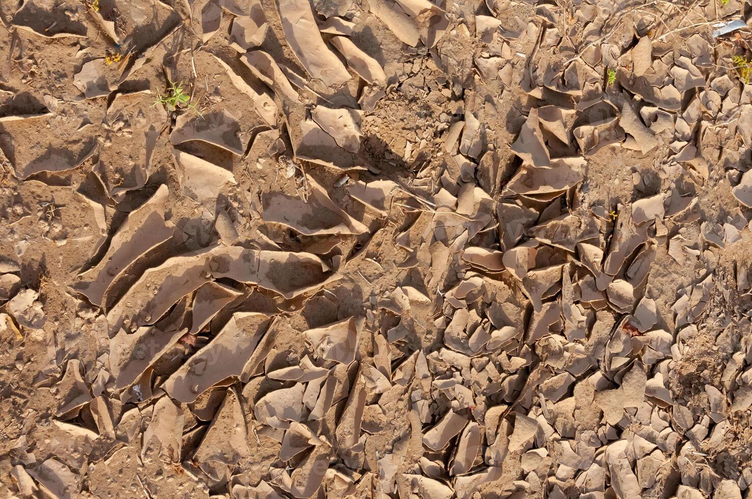 Dry cracked red clay in the desert in the bed of a dried up water stream, Egypt photo