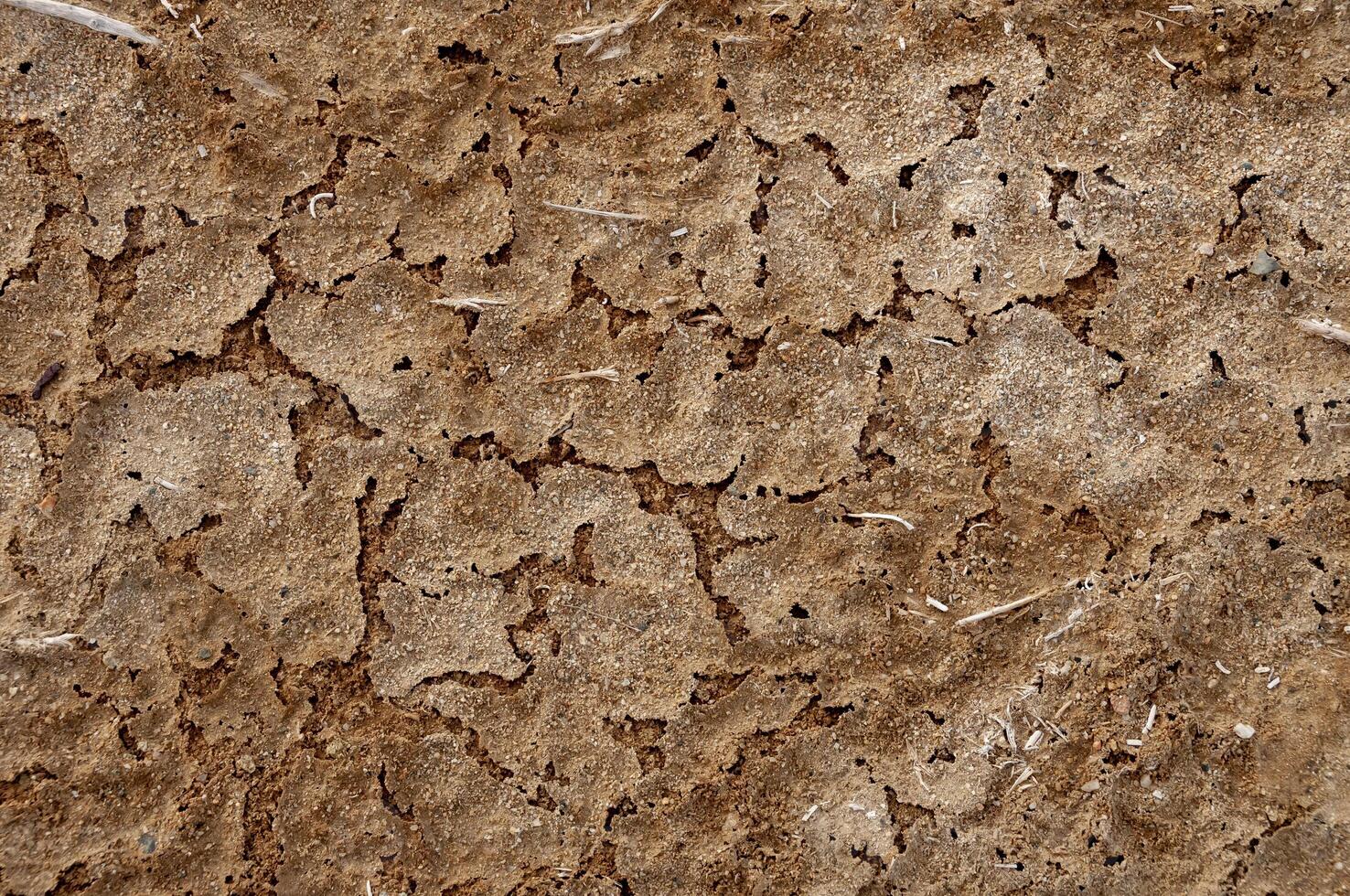 Dry cracked red clay with salt crystals in the desert in the bed of a dried up stream photo