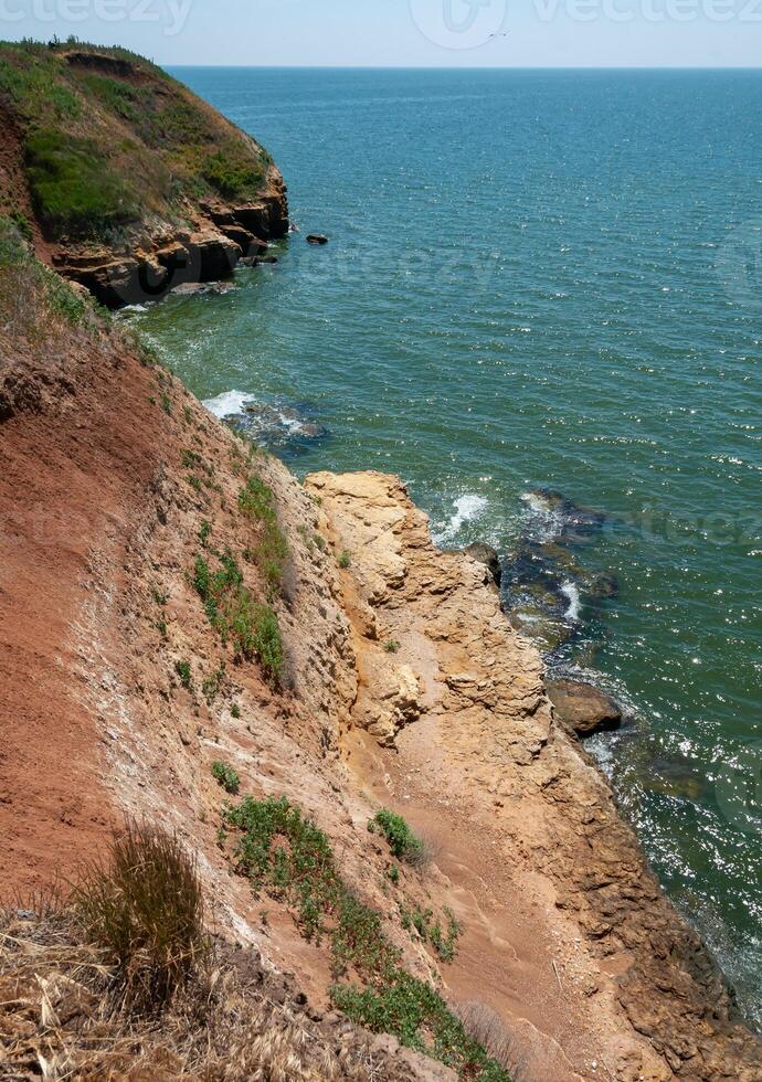 Steep clayey and shell rock shore overgrown with wild steppe vegetation on the island of Berezan, Ukraine photo