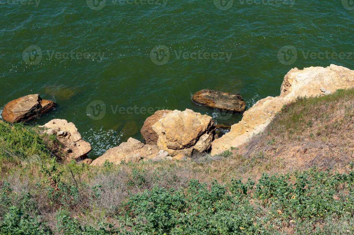 Steep clayey and shell rock shore overgrown with wild steppe vegetation on the island of Berezan, Ukraine photo