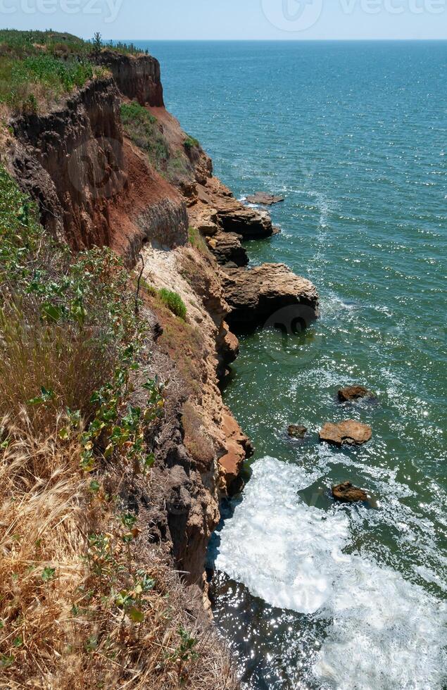 Steep clayey and shell rock shore overgrown with wild steppe vegetation on the island of Berezan, Ukraine photo
