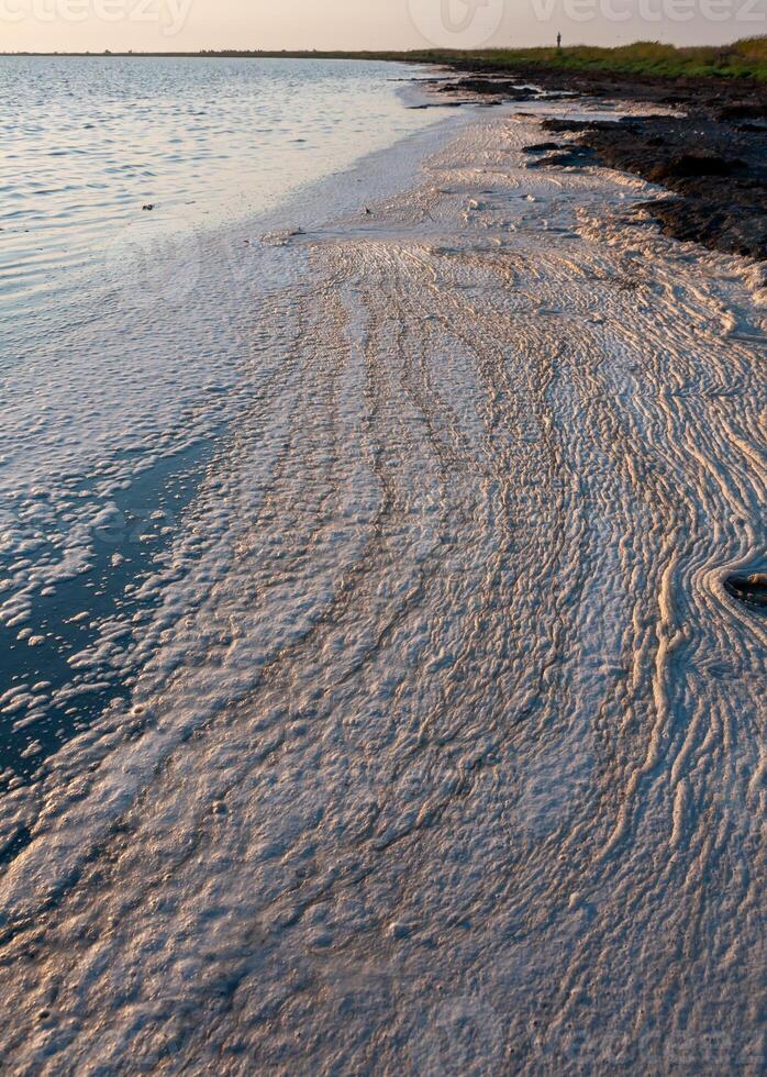 Wavy Dirty foam driven by the wind to the shore of the Tuzlovsky estuary photo