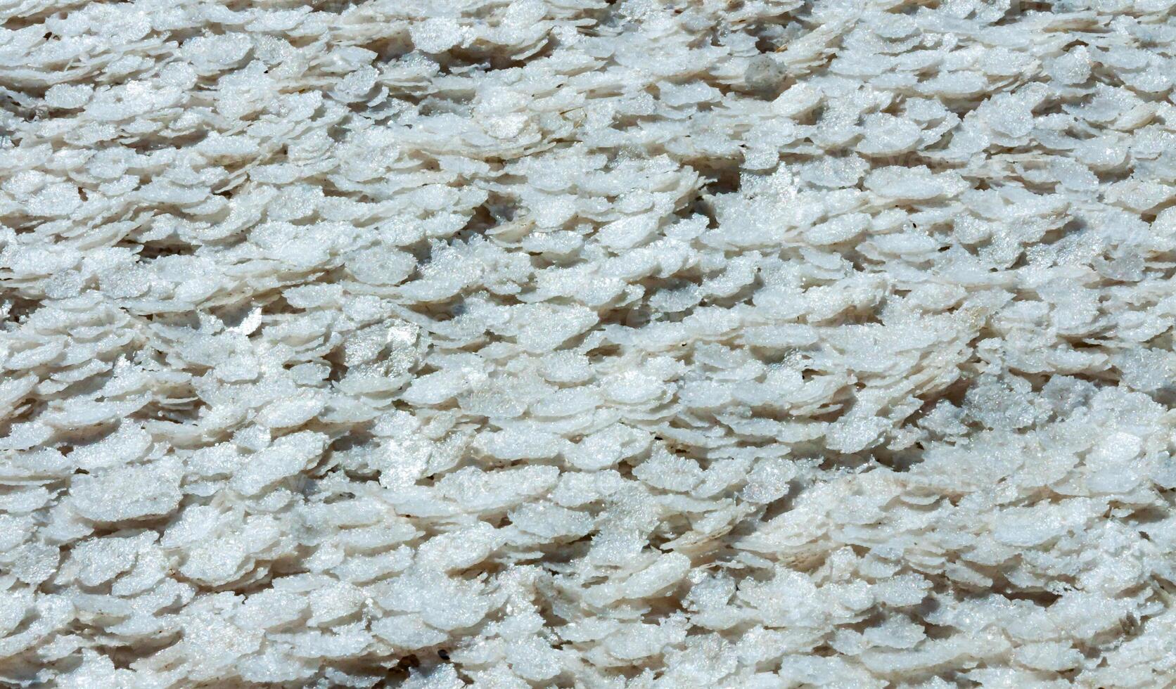 Crystallized salt on a muddy bottom in the upper Kuyalnitsky estuary. Kuyalnik Estuary, Ukraine photo